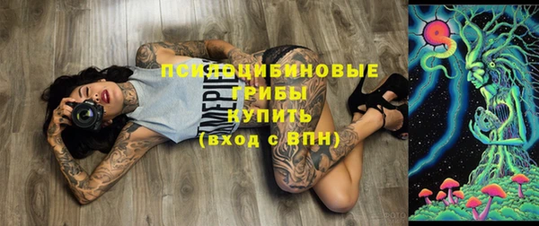 прущая мука Ладушкин