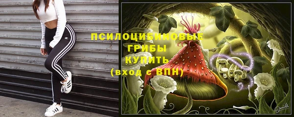 прущая мука Ладушкин