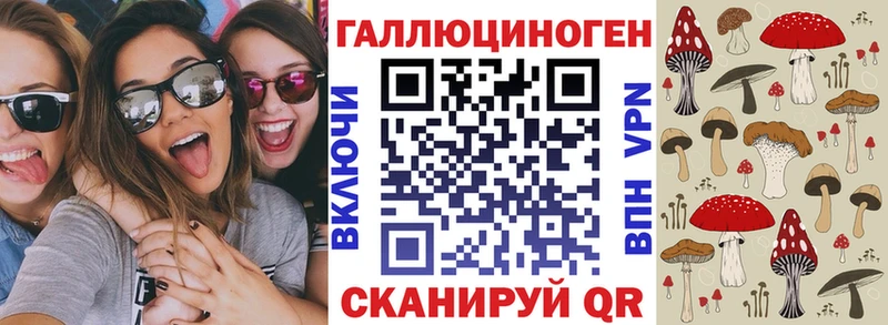 купить закладку  OMG вход  Псилоцибиновые грибы Psilocybe  Новотитаровская 